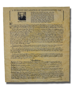 Declaration of Sentiments Poster